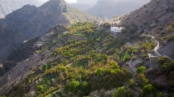 كم يبلغ ارتفاع الجبل الأخضر في عمان