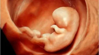 كيف يتنفس الطفل في بطن أمه