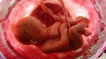 كيف يكبر الجنين في بطن أمه