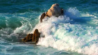 كيف يحدث المد والجزر