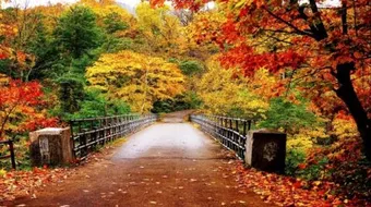 كيف يتغير الطقس في كل فصل