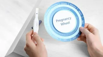 كيف أحسب يوم التبويض بدقة