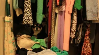 كيف أرتب خزانة الملابس