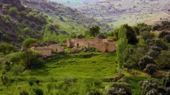 كيف تكون الغور