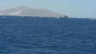 كيف تكون البحر الاحمر