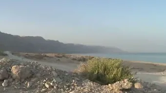 كيف تكون الشق السوري الأفريقي