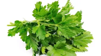 كيفية غلي البقدونس