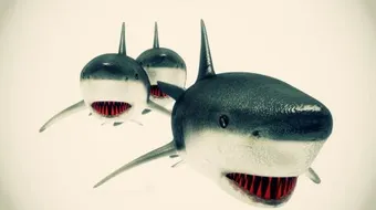 كيف يتنفس الحوت