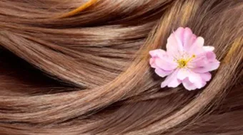 كيفية العناية بالشعر وتطويله