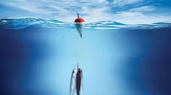 كيفية اصطياد السمك