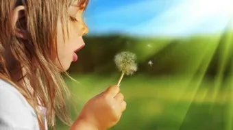 كيف تحقق أمنية