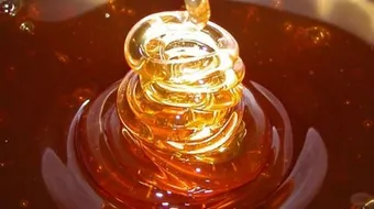 كيف تفحص العسل