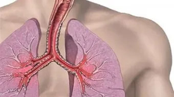 طريقة تنظيف الرئتين عند المدخنين