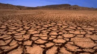 كيفية مكافحة التصحر