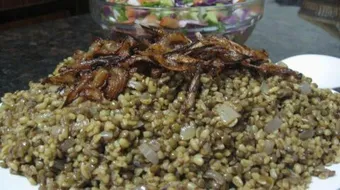 كيف تطبخ المجدرة