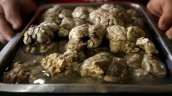 كيف أطبخ مخ الخروف