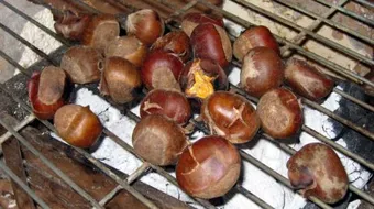 كيفية طبخ أبو فروه