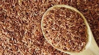 كيف أطبخ الأرز الأسمر