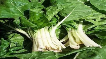 طريقة طبخ السلق بالزيت