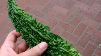 طريقة طبخ نبات الكريلا