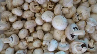 كيف يطبخ المشروم