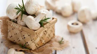 طريقة طبخ عيش الغراب