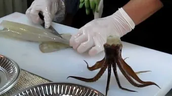 طريقة طهي الأخطبوط