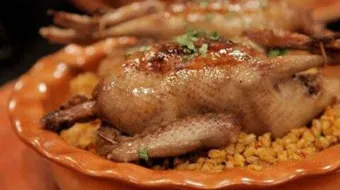 طريقة طبخ زغاليل الحمام