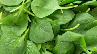 كيف أطبخ السبانخ