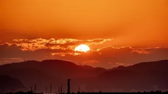 كيفية تحديد الاتجاهات