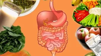 كيف يهضم الطعام