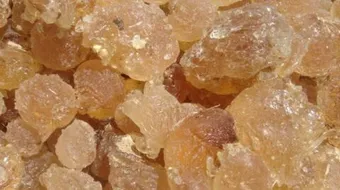 كيف يشرب الصمغ العربي