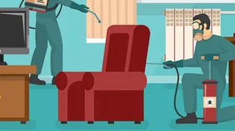 كيفية طرد الصراصير من البيت