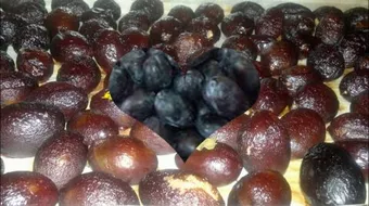 طريقة تجفيف البرقوق