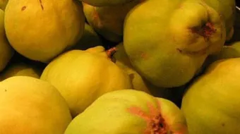 كيف يؤكل السفرجل