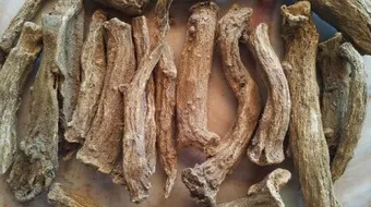 طريقة تناول القسط الهندي