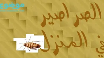 كيف نقضي على الصراصير في البيت