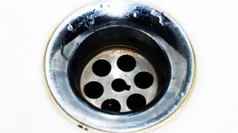 طريقة القضاء على الصراصير في المجاري