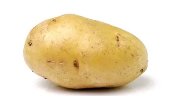 كيفية تصدير البطاطس