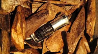 كيف يستخرج دهن العود