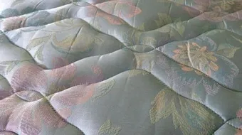 كيفية مكافحة بق الفراش