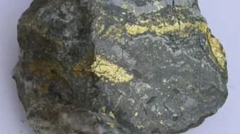 كيف تجد الذهب