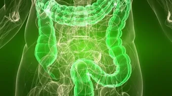 كيفية طرد السموم من الجسم