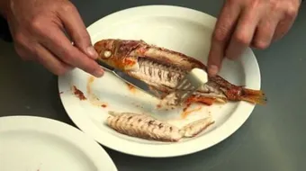 كيف تتخلص من شوكة السمك