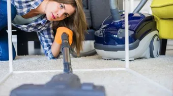 كيفية التخلص من البراغيث في المنزل