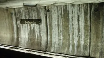 كيف تتخلص من رطوبة الجدران