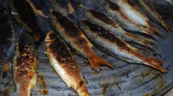 طريقة شوي السمك على الصاج