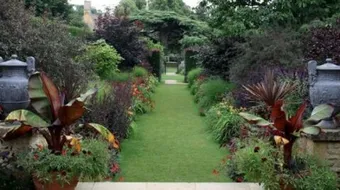 كيف تزرع النباتات في المنزل