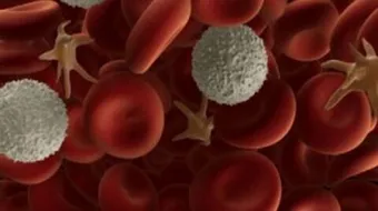 كيف تزداد كريات الدم البيضاء