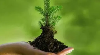 كيف نحافظ على البيئة نظيفة